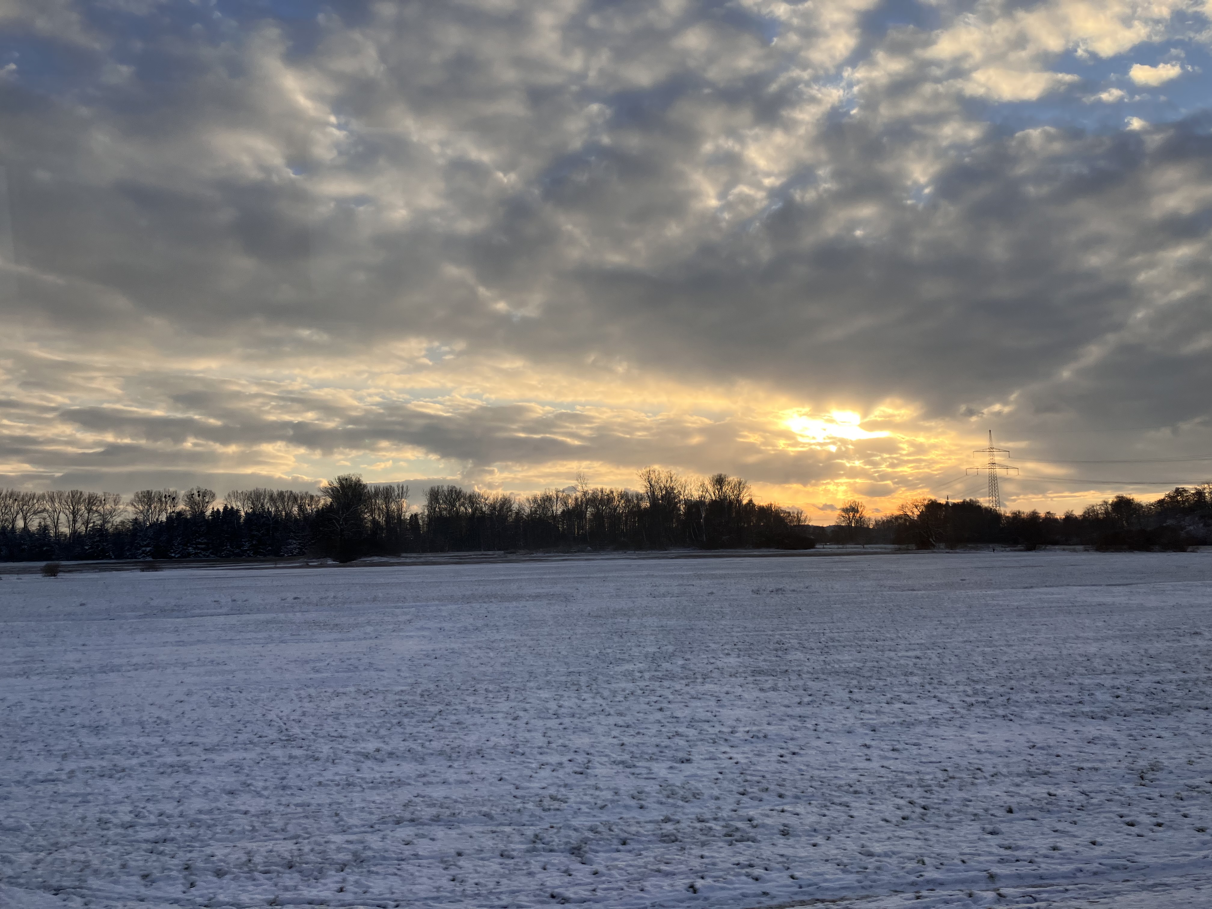 IMG_3084.jpeg
